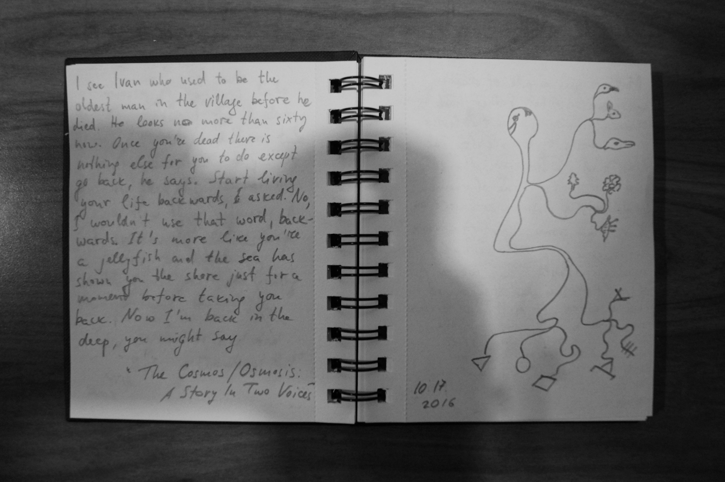 The Cosmos / Osmosis by VLADIMIR POLEGANOV