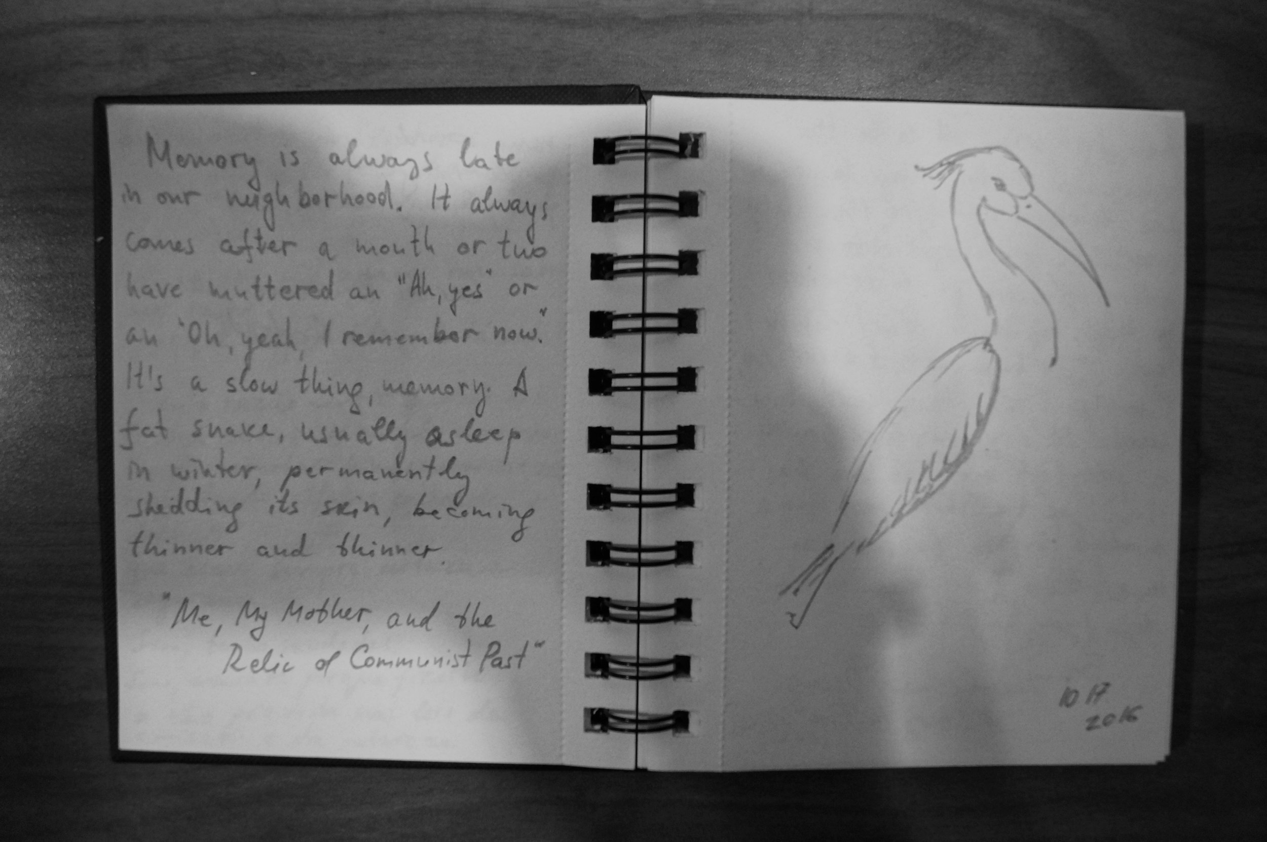 Me, My Mother, and the Relic of Communist Past by VLADIMIR POLEGANOV