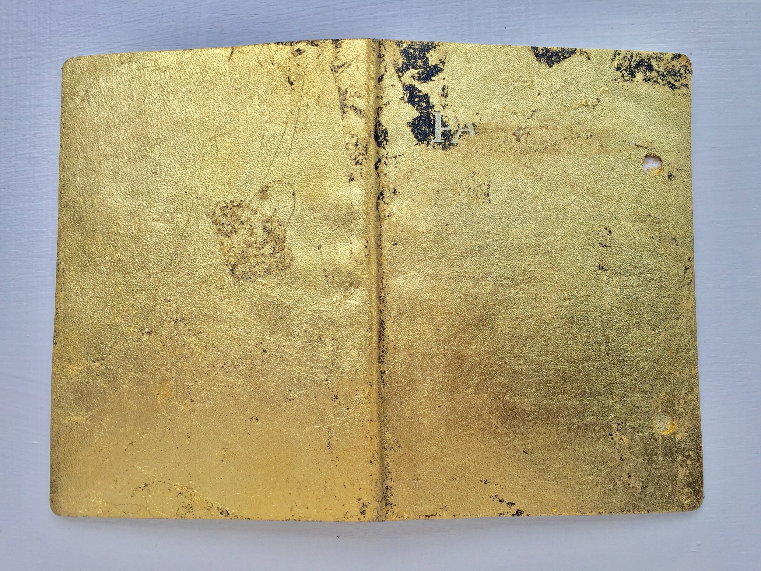 Cover1_golden passport.jpg